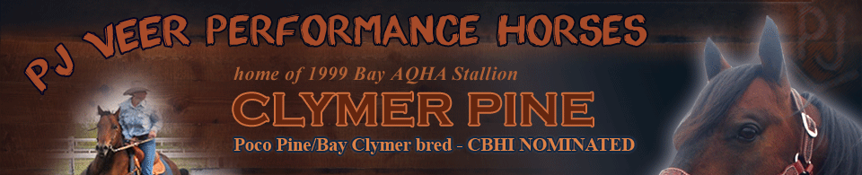 PJ Veer Performance Horses - Home of Clymer Pine (Poco Pine/Bay Clymer bred - CBHI Nominated)